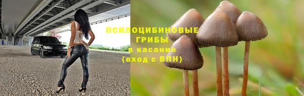 амф Покровск
