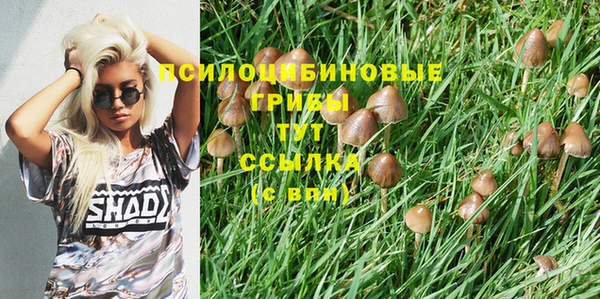 гидропоника Верхнеуральск