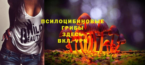 гидропоника Верхнеуральск